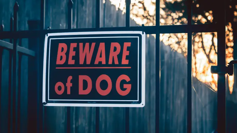 Beware of Dog warning sign posted on a residential fence, highlighting safety concerns after a Staten Island Dog Attack