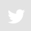 Twitter logo representing social media engagement for StablWall, a foundation repair company discussing carbon fiber solutions.