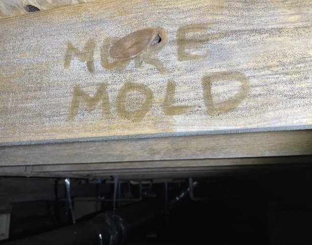 Mold Removal & Remediation with Soda Blasting