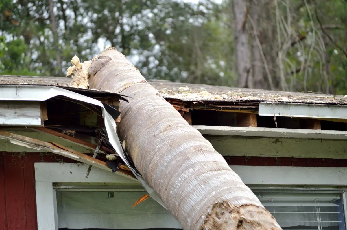 tree log on top of a roof damage after storm